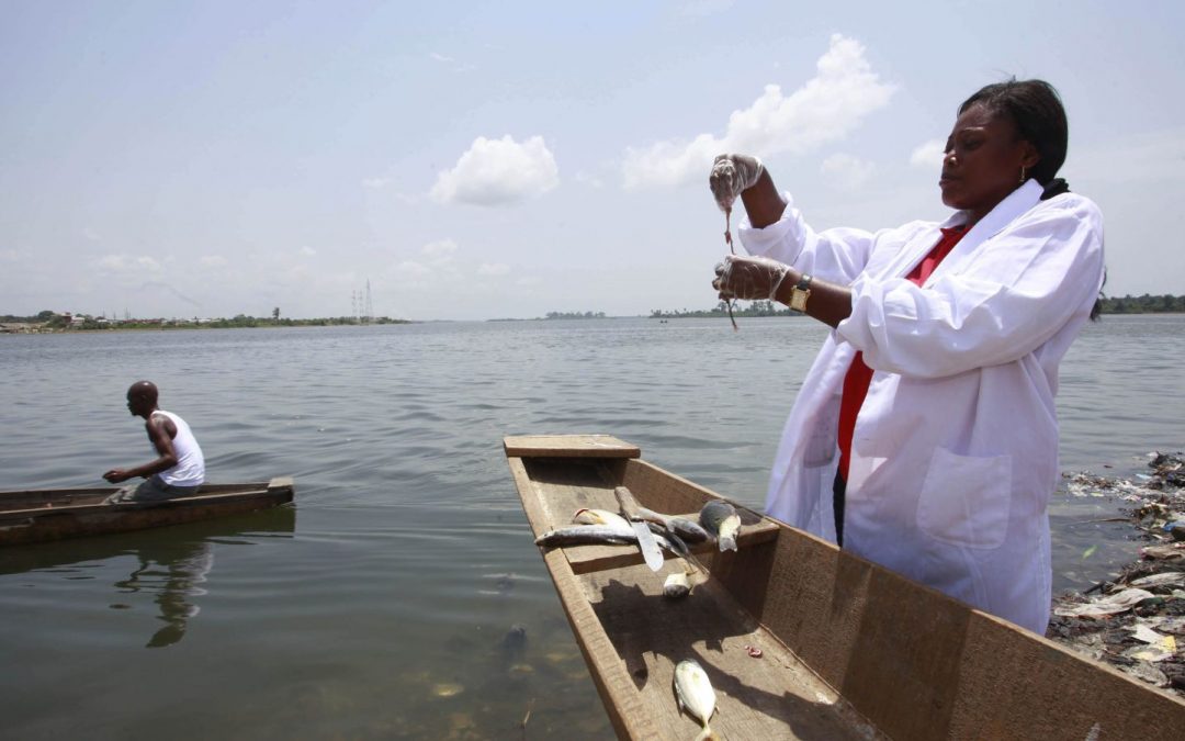 No, Africa is not lacking talented scientists. We’re just not investing in them